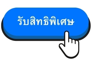 BRANDEX รับออกแบบและจัดทำเว็บไซต์